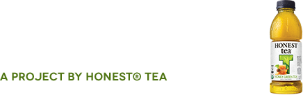 The National Honesty Index